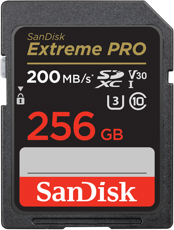 Sandisk Sdxc Extreme Pro 256gb + Rescue Dl (0619659188658)